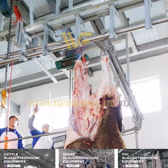 Top-Sell-Viehheberahmen, Hilfskühe stehen auf, Veterinärausrüstung